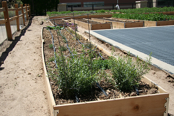 Herb Garden
