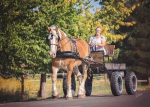Veronica Wilkins rides in a cart pulled by her large horse, Mac.
