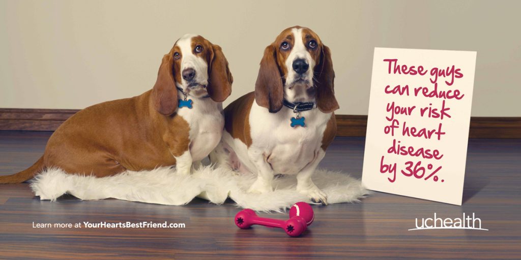 two dogs with a sign that reads: These guys can reduce your risk of heart disease by 36 percent.