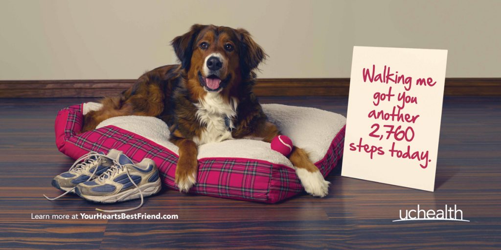 UCHealth's new campaign is a picture of a dog on a dog bet with a sign that says, "walking me got you another 2,760 steps today."