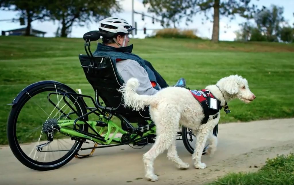 Jim Cohen riding a recumbent tricycle on a bike path with his service dog running alongside him.