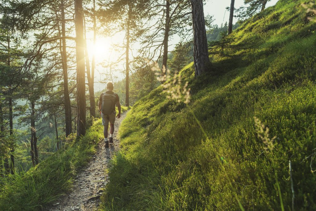 A man walks on a trail through the woods.