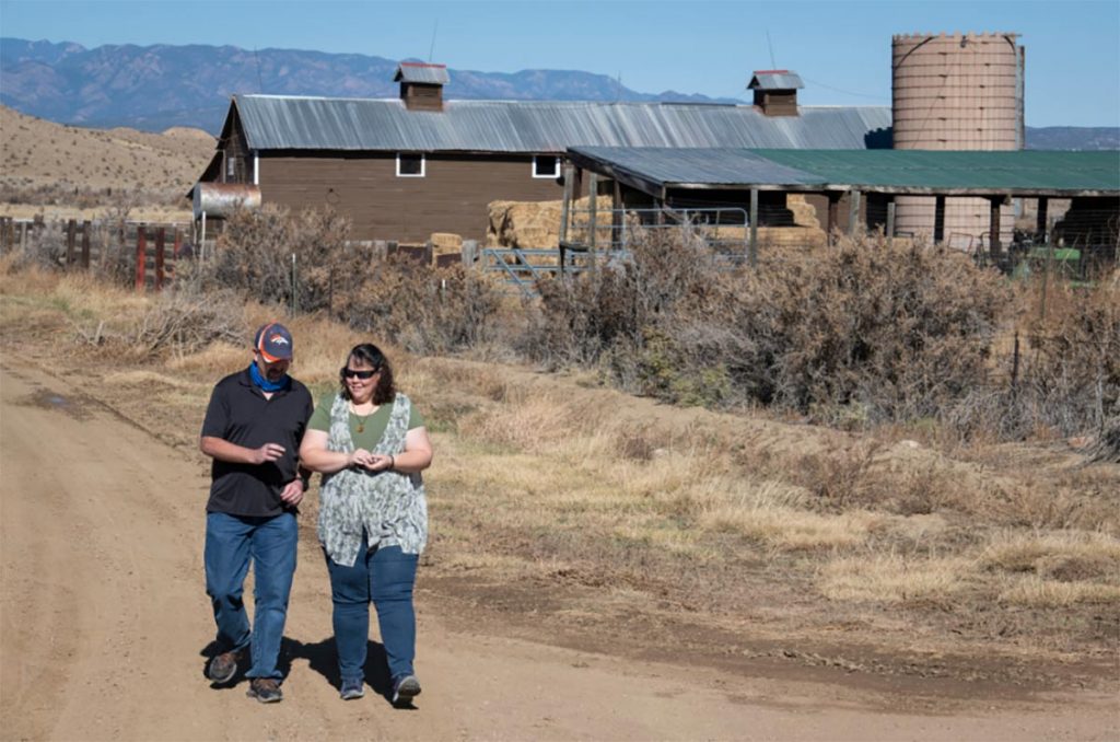 Clay Phillips and his wife, Diana, take a walk on the family ranch after Clay got relief from epileptic seizures..