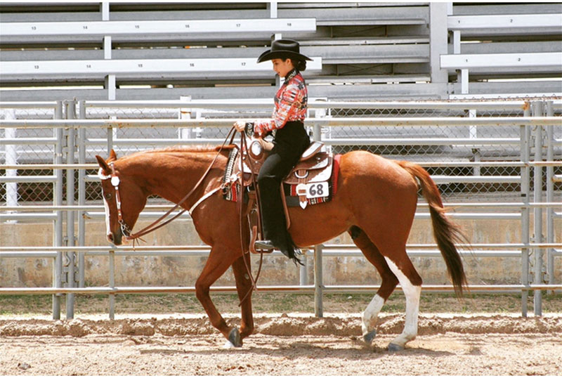Anna Bajaj has returned to horseback riding in shows since her surgery to treat MALS. She’s shown here at the Douglas County Fairgrounds. Photo courtesy of Anna Bajaj.