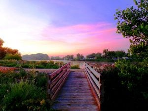 St. Vrain State Park in Longmont, Colorado.