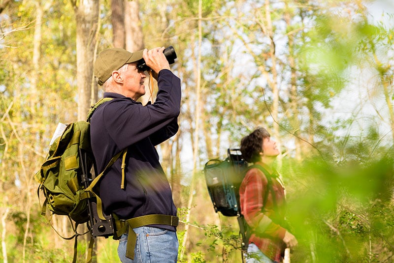 Add bird-watching to your list of mindfulness activities to try. Source: Getty Images.